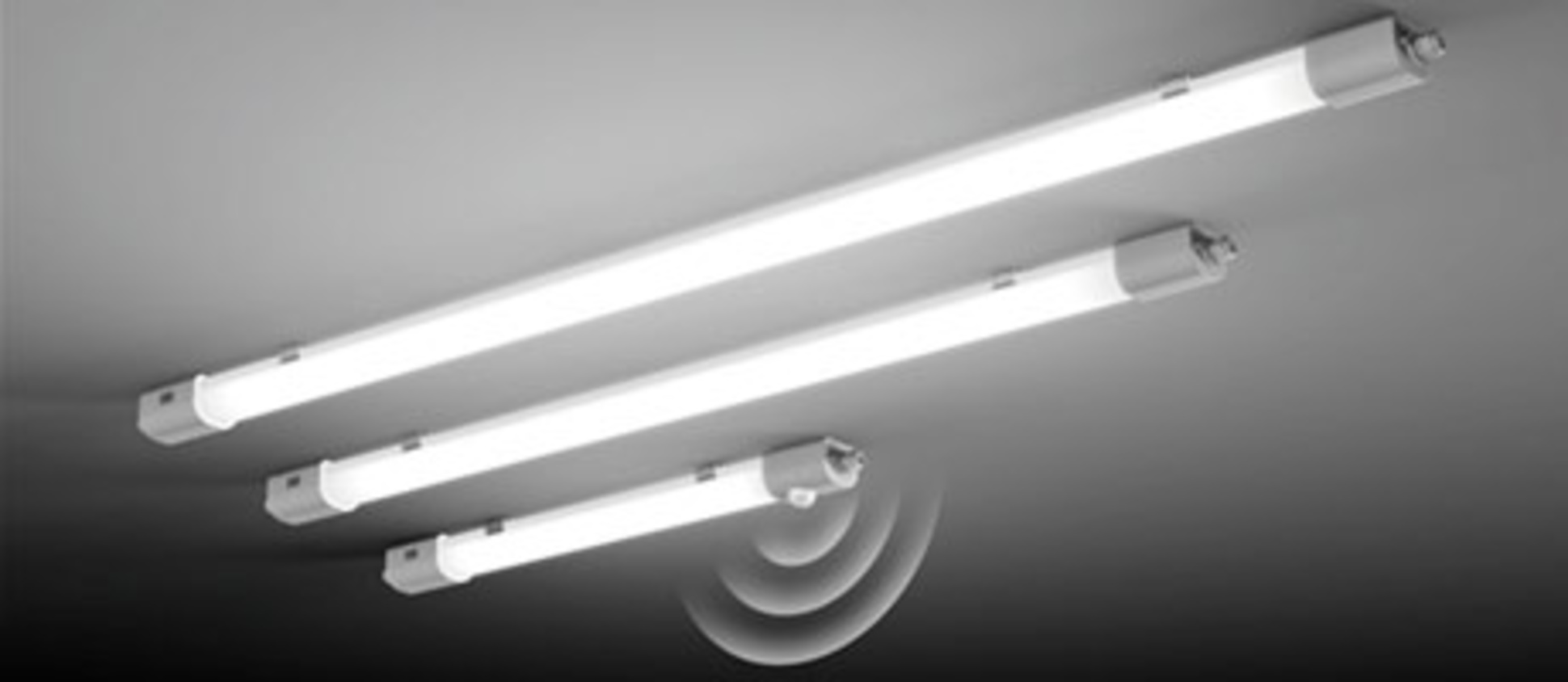 Planox Feuchtraumleuchten bei Rebele GmbH & Co. KG in Buchdorf